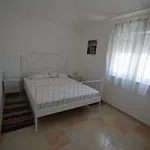 Apartment Otok 2 *